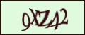 Включите эту картинку для отображения кода безопасности